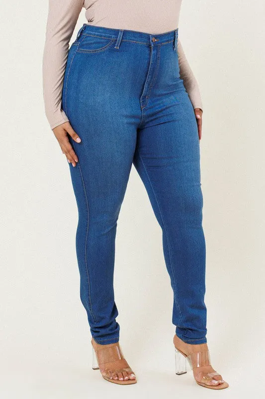 Premium Plus Size Skinny Jeans