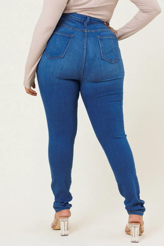 Premium Plus Size Skinny Jeans